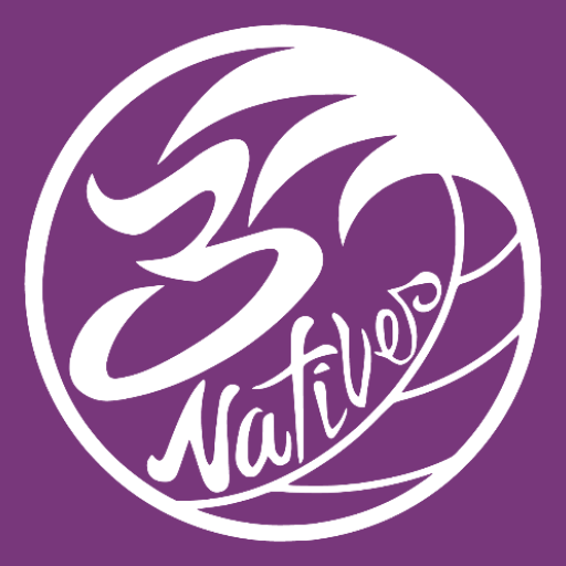 3 Natives logo
